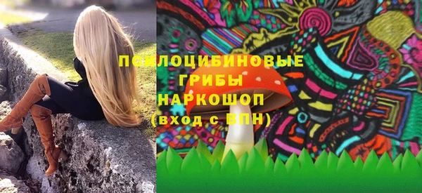 гидропоника Алзамай
