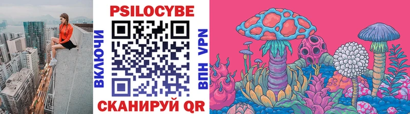 Купить закладки  Гороховец  Галлюциногенные грибы Cubensis 
